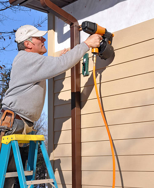 Best Siding Painting and Refinishing  in Cobden, IL